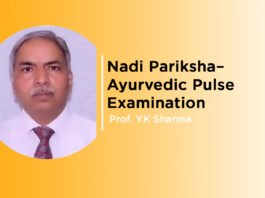 ‘Nadi Pariksha – Ayurvedic Pulse Examination’ by Prof. YK Sharma