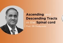 Lecture on “Ascending and Descending Tracts in the Spinal Cord” by SB Deshpande