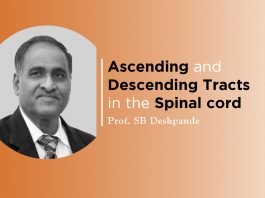 Lecture on “Ascending and Descending Tracts in the Spinal Cord” by SB Deshpande