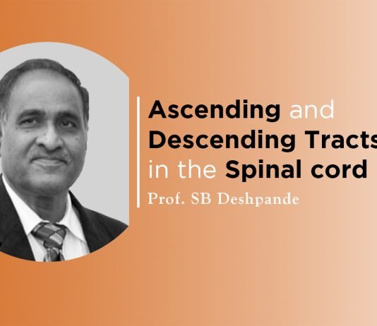 Lecture on “Ascending and Descending Tracts in the Spinal Cord” by SB Deshpande