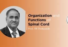 Lecture on “Organization and Functions of Spinal Cord” by Prof. SB Deshpande