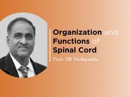 Lecture on “Organization and Functions of Spinal Cord” by Prof. SB Deshpande
