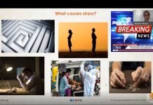 Workshop on Stress Management and Emotional Stability