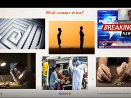 Workshop on Stress Management and Emotional Stability